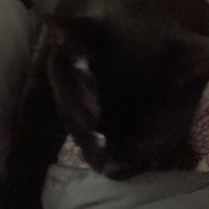 Meet your Posher, Harmony